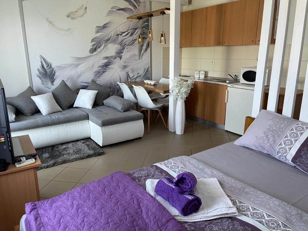 Apartman Lukic Banja Koviljača Exterior foto