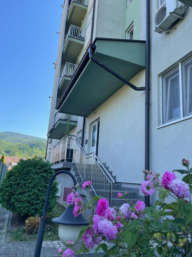 Apartman Lukic Banja Koviljača Exterior foto